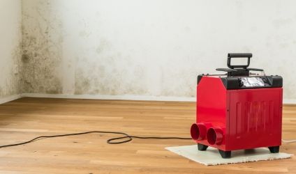 Bautrockner in einem schimmelbefallenen Raum