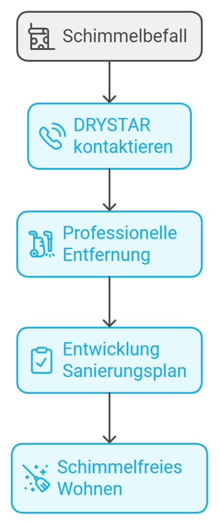 Schimmelbefall Lösung Drystar