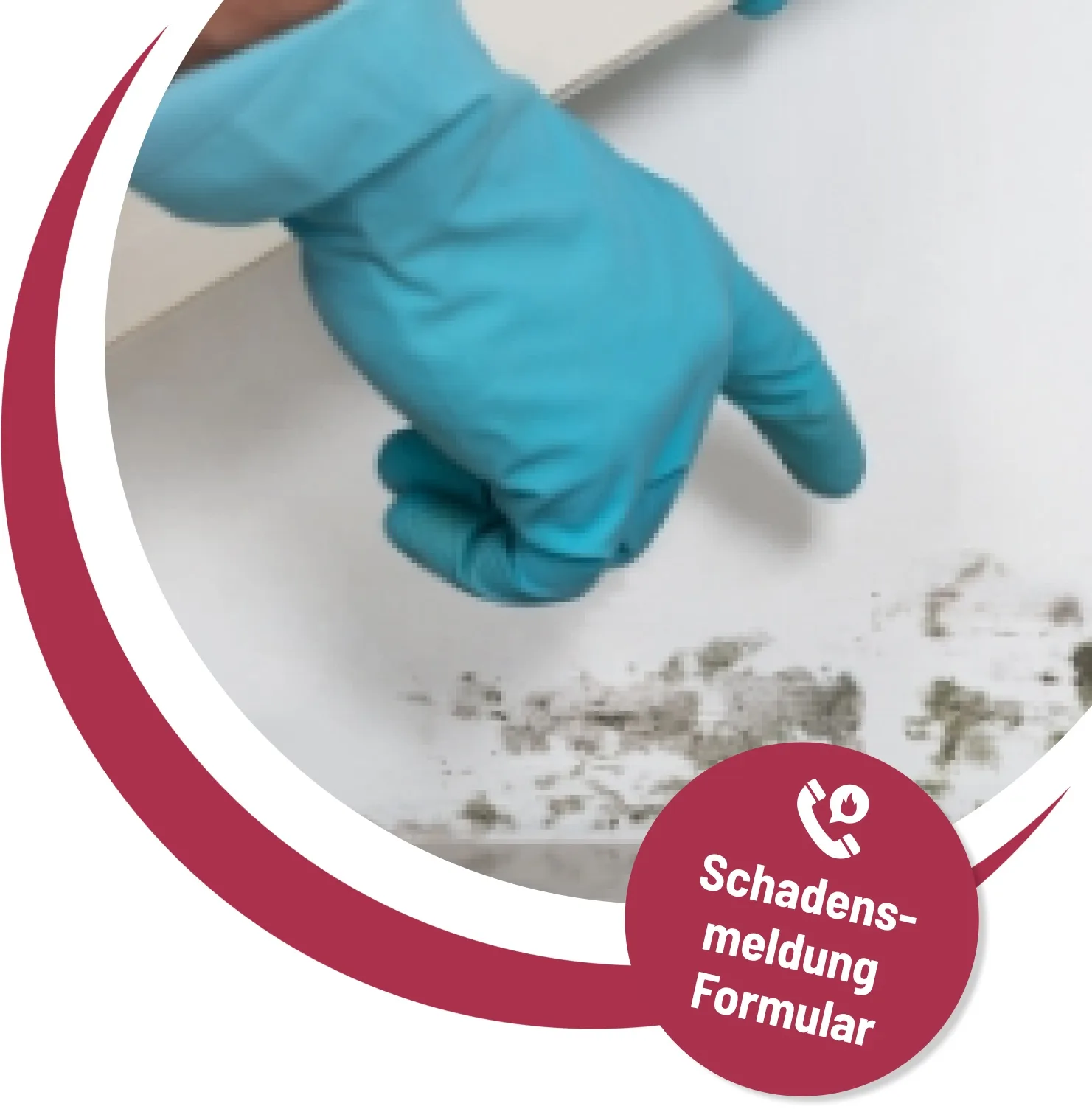 Schimmelsanierung