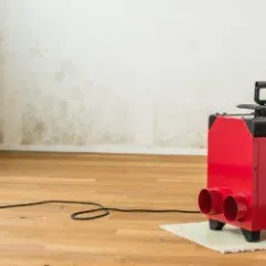 Bautrocknung