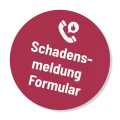 Schadensmeldung Formular von DRYSTAR